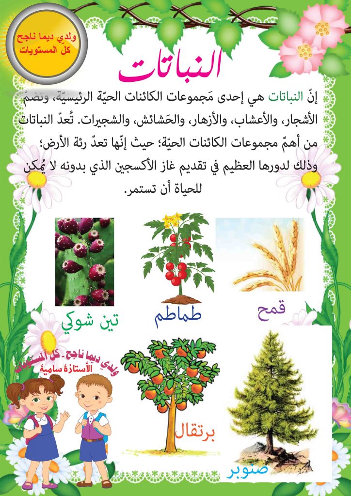 تعريف النباتات للأطفال