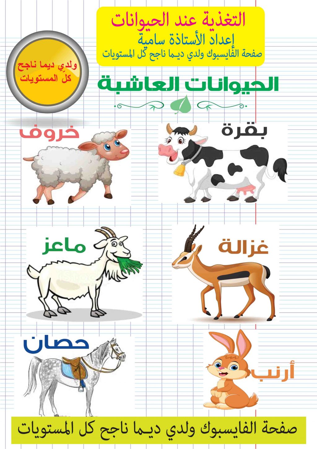 بحث مدرسي التغذية عند الحيوان | مدرستي الخاصّة | Madrasati Libre