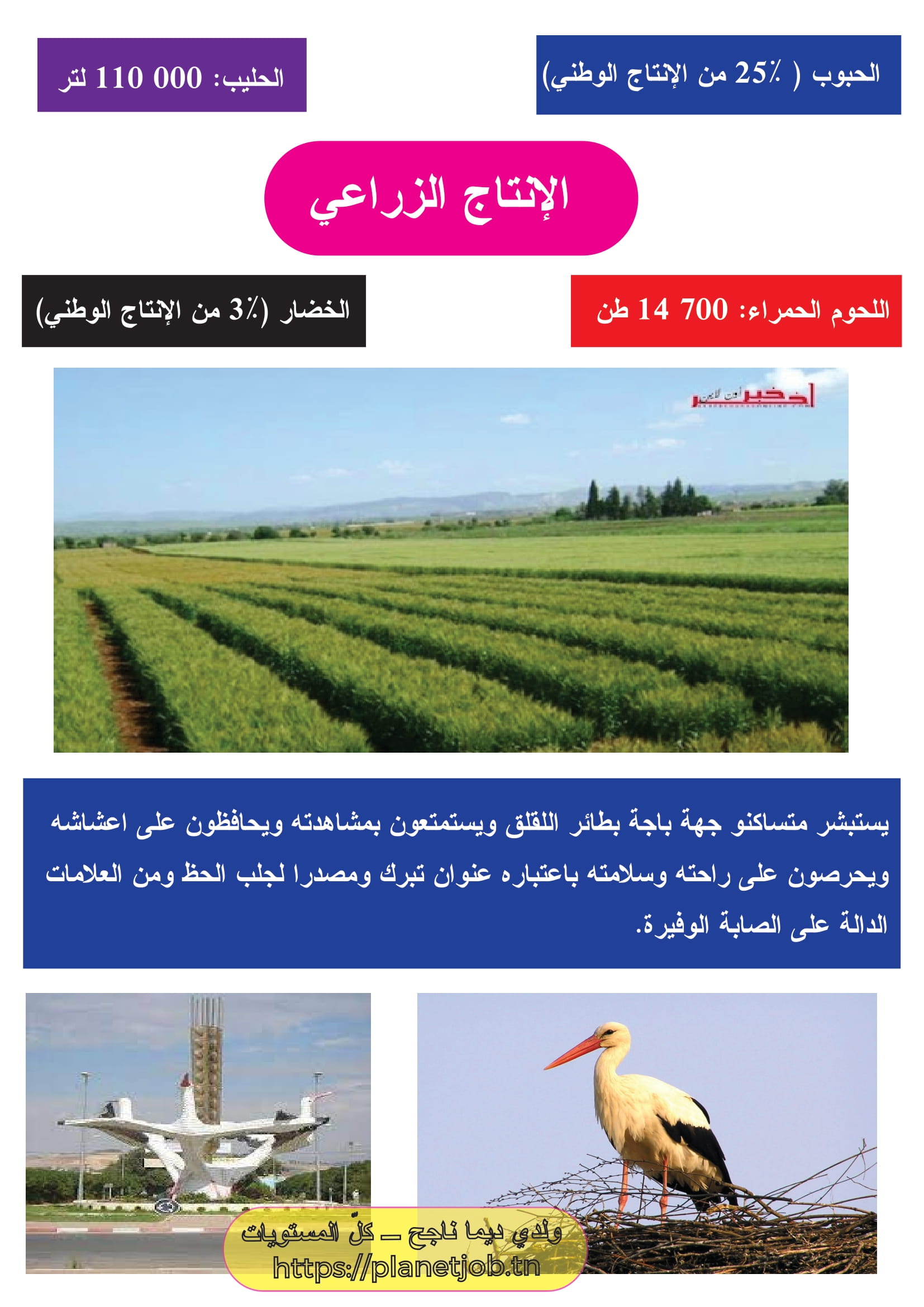 ولاية باجة ـ بحث مع صور