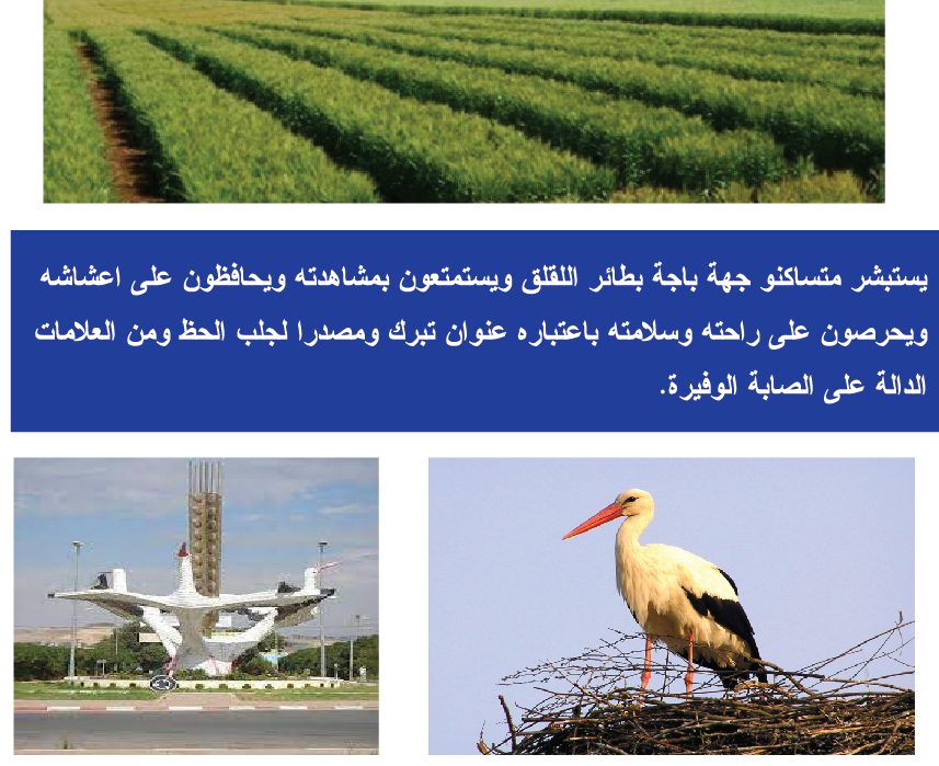 ولاية باجة ـ بحث مع صور