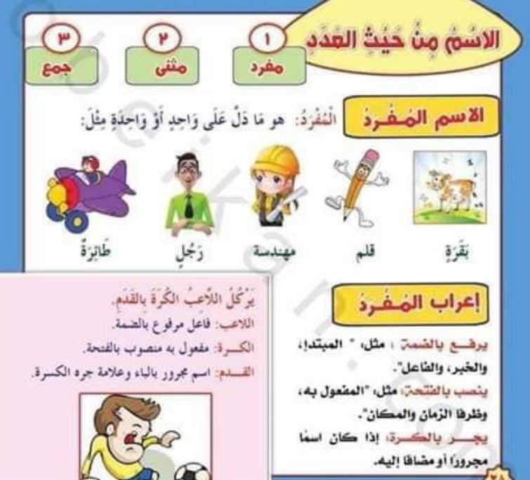 اساسيات النحو لغة عربية